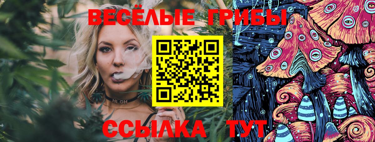 даркнет сайт  Галлюциногенные грибы Psilocybe  Вход с VPN  Ростов-на-Дону 