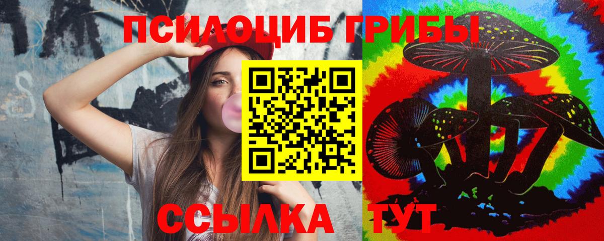 Галлюциногенные грибы Cubensis Ростов-на-Дону